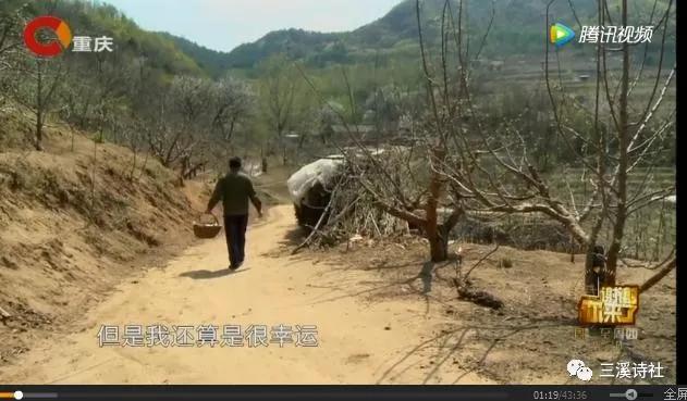 永不凋谢的玫瑰花,永不凋谢的玫瑰原唱