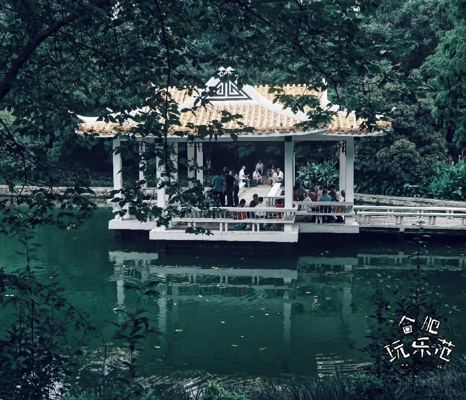 观银河,看银河听风吟的视频