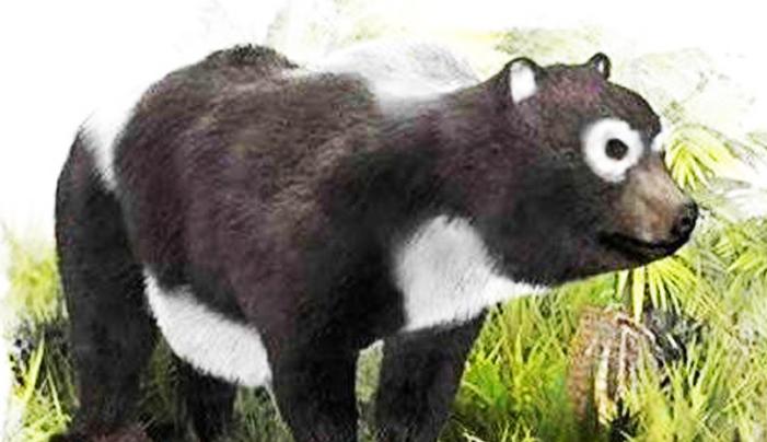 大熊猫在上古时代当过蚩尤的坐骑,蚩尤的坐骑大熊猫片段