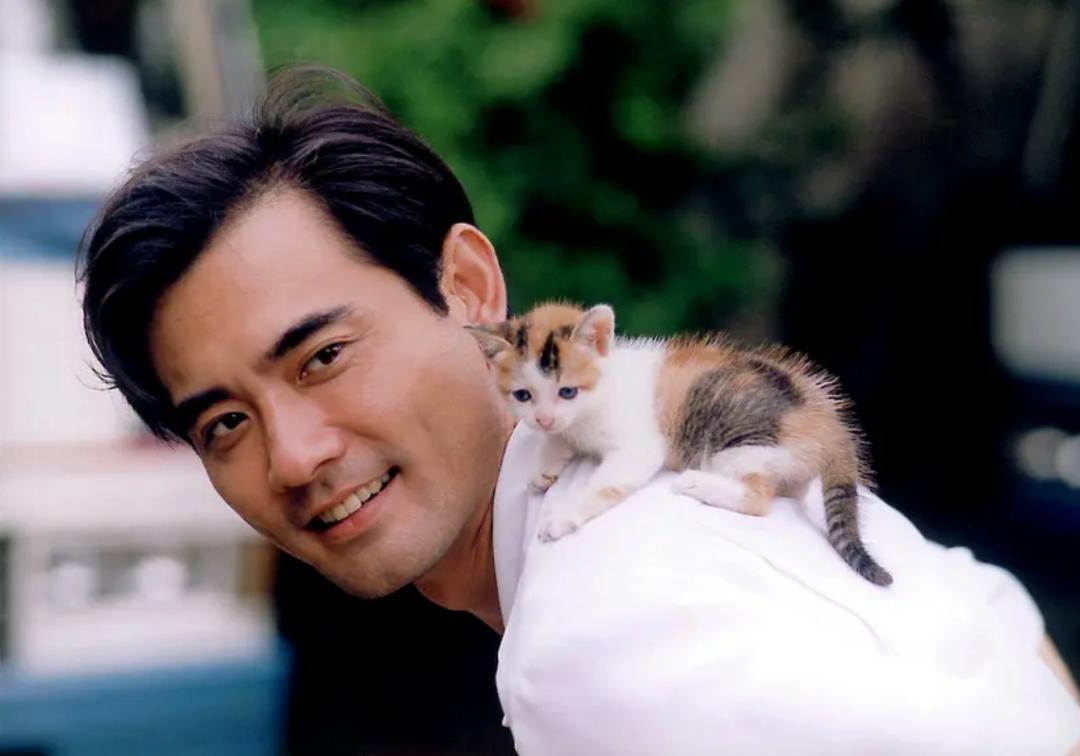 赵文瑄美男子的一生,赵文瑄年轻时美男子