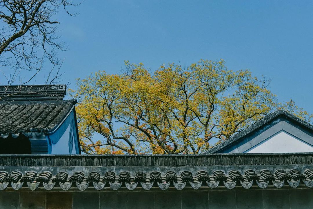 古文观止书读100遍,古文观止图文版品读经典系列