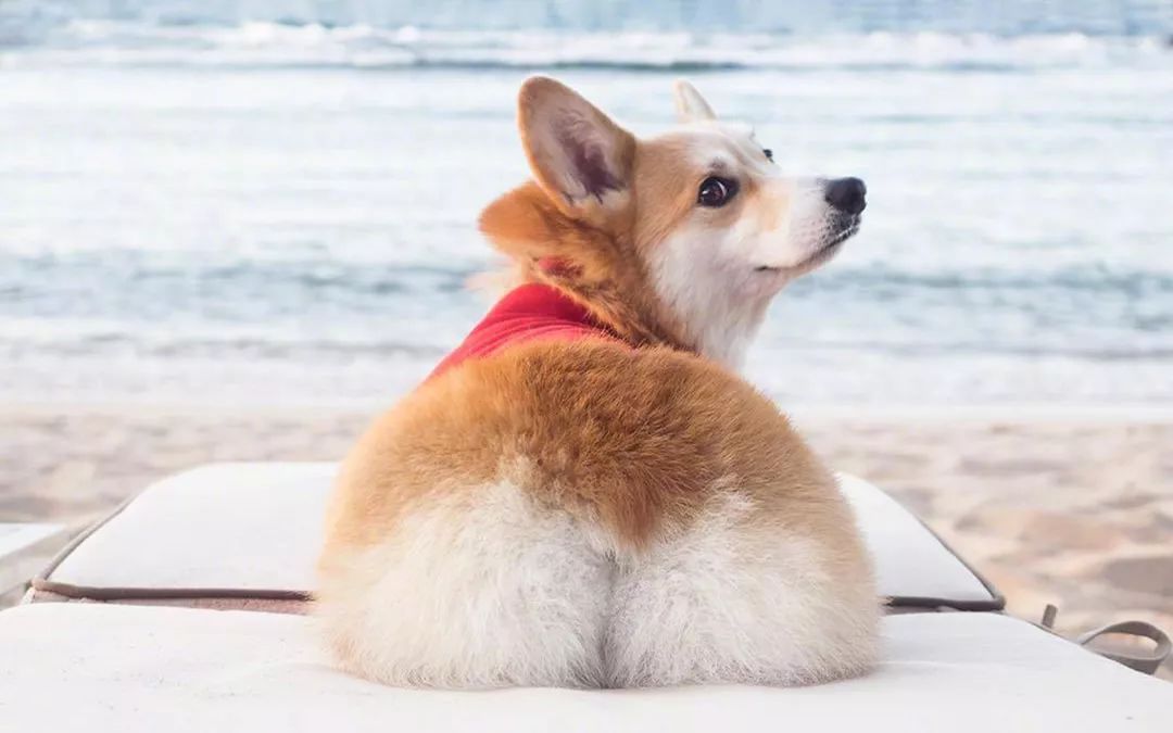 大家都在用什么解压方法,一个很神奇的解压方式