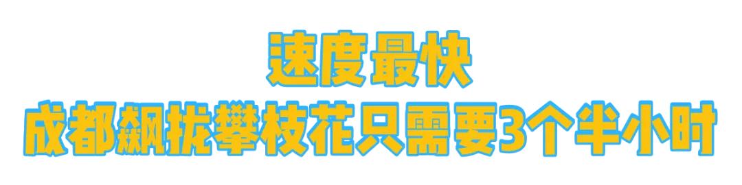 成都到攀枝花怎样最快最划算,四川攀枝花未来发展