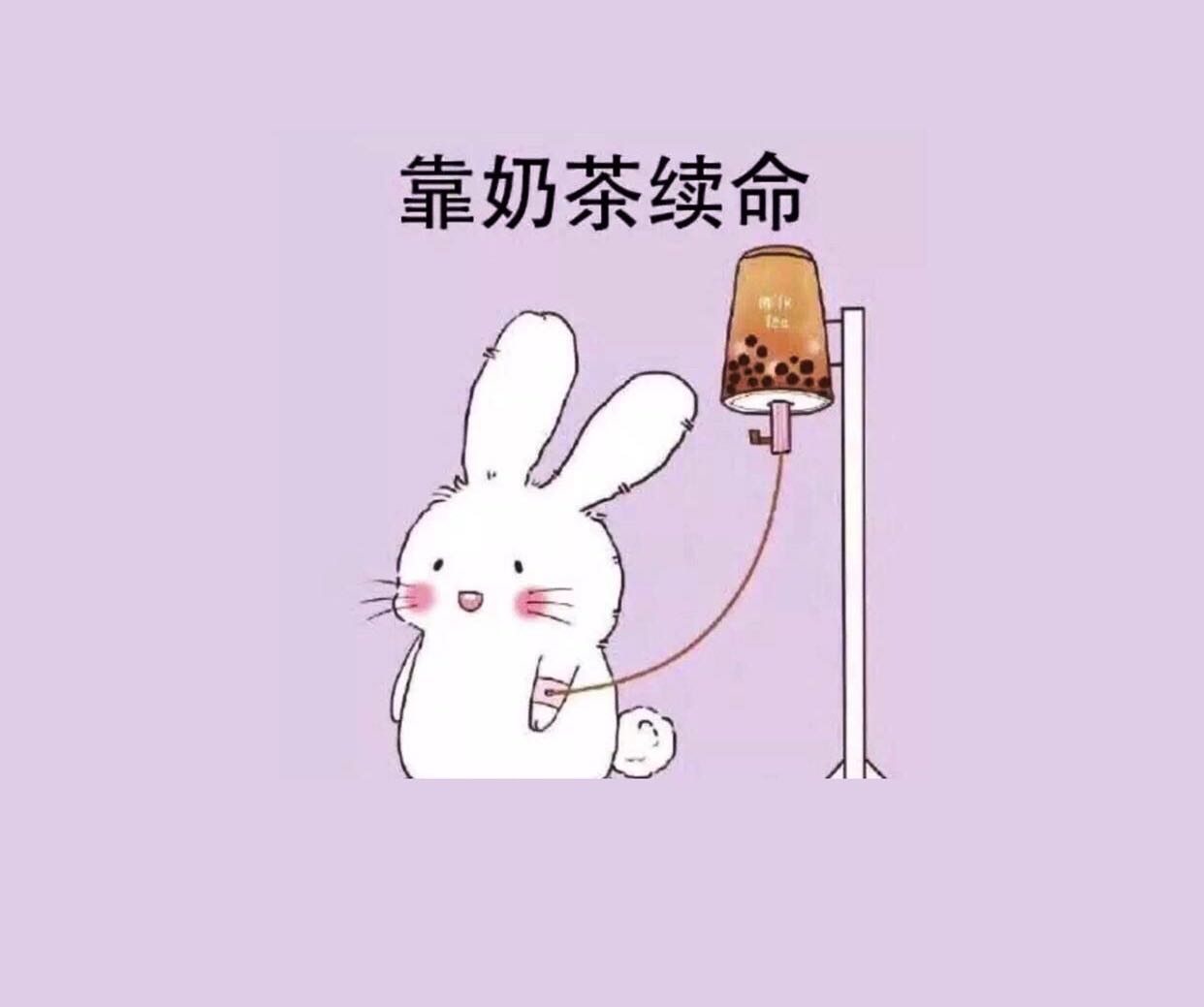 娃哈哈开了奶茶店网上能点吗,娃哈哈奶茶店开了多少家了