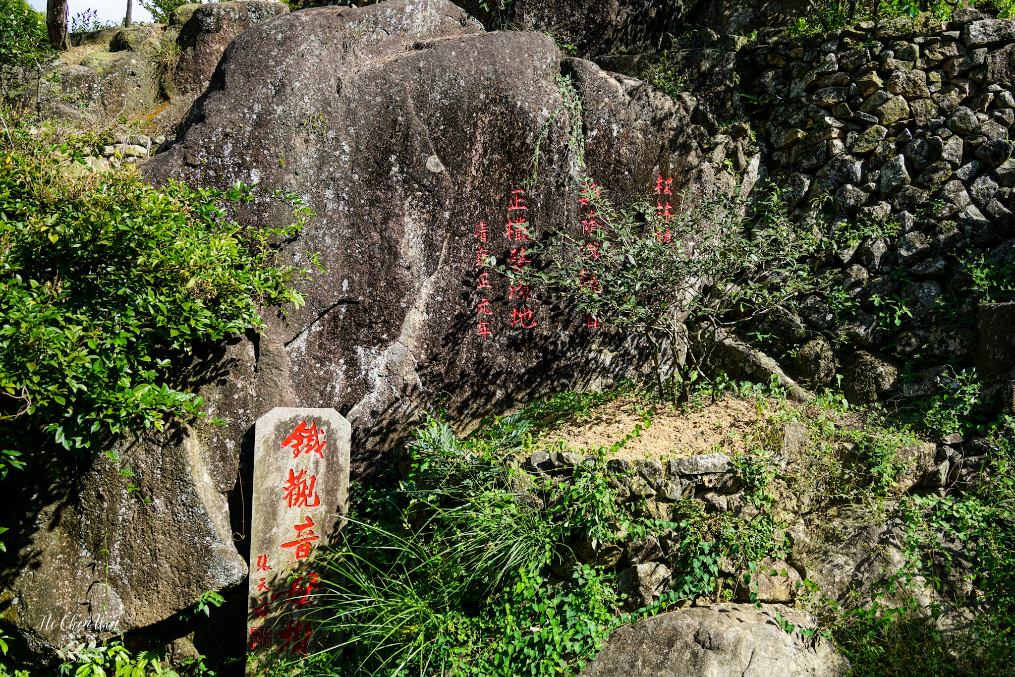 中国十大品牌铁观音茶叶,铁观音福建中国十大名茶