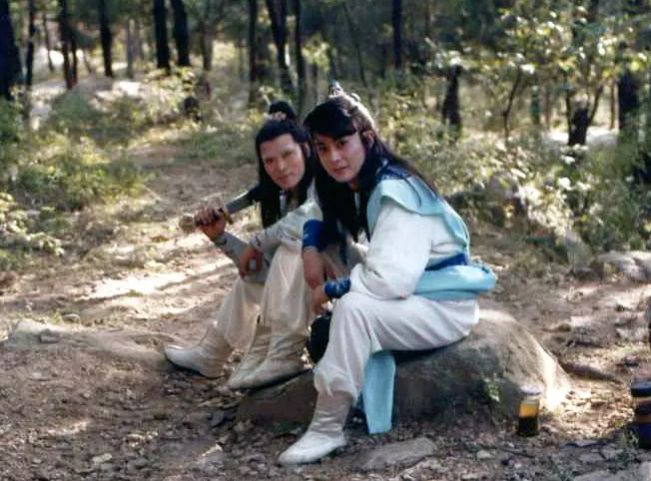 80后的童年回忆武侠小说,白眉大侠同时期的武侠剧