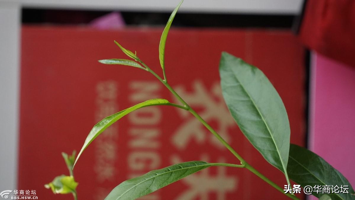 疫情下的城市生活纪录片,西安疫情每天新增记录图