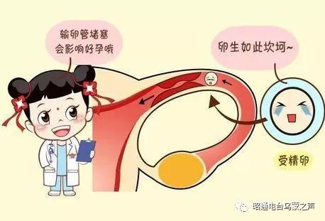 助您好“孕”《祝您健康》昭通仁安医院彭艺医生教你备孕知识