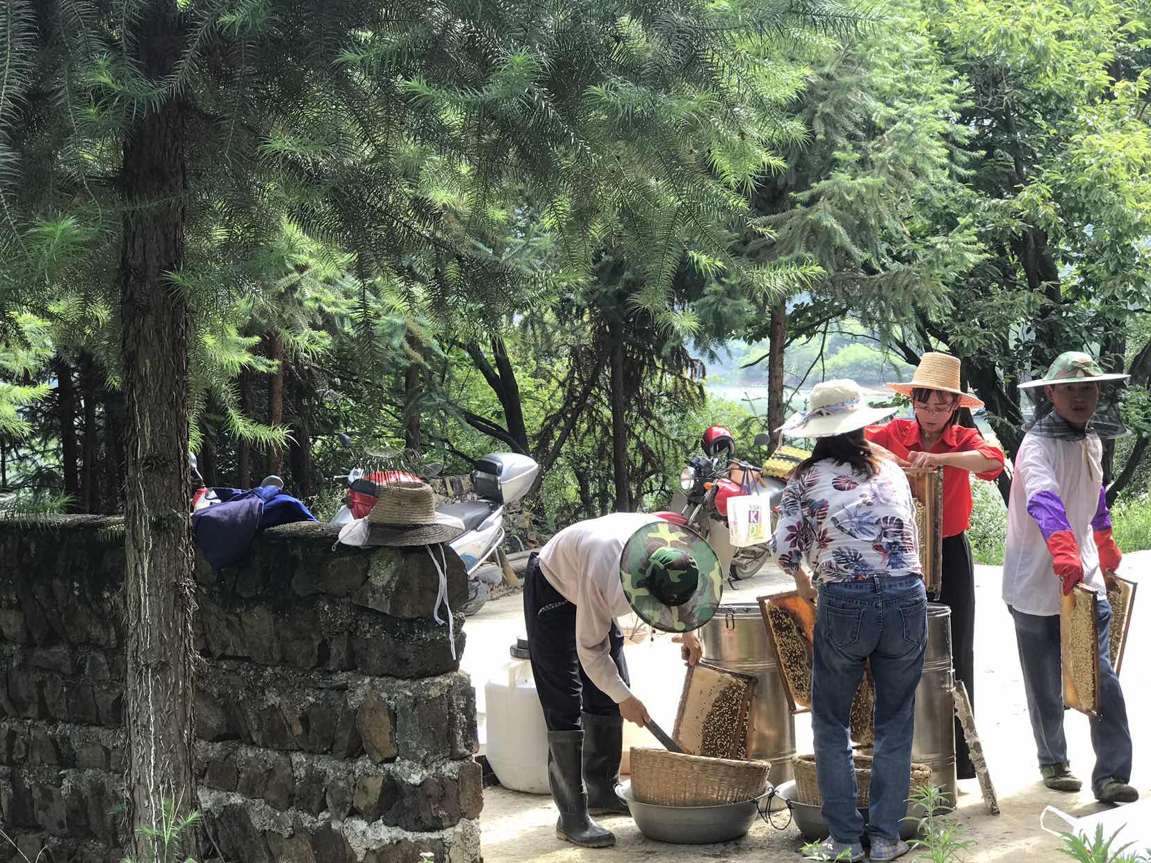 老蜂农新思想蜂蜜卖上互联网,养蜂人如何宣传自己的蜂蜜