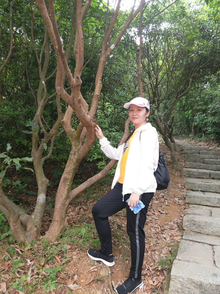 520，别样塘朗山！六约微马2019我们一起走第十二站塘朗山