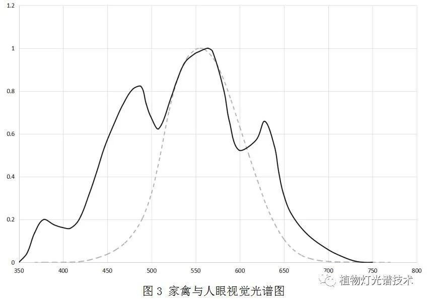 家禽养殖通风,光照对家禽的影响