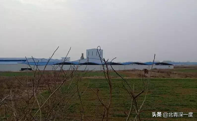 母亲讨回的欠款:一箱酒抵集资担保公司2800元债|博士返乡记