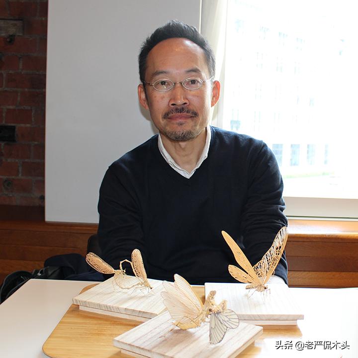 昆虫标本树脂竹节虫,昆虫标本制作竹节虫