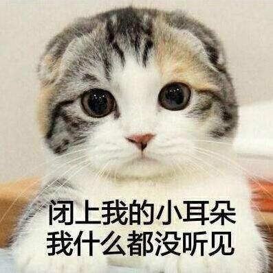 养猫的铲屎官一定要注意除癣,准备养猫的人看的视频