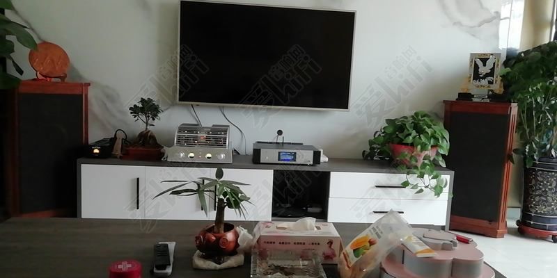 为了听歌就要花钱,玩hifi哪些设备对音质影响最大