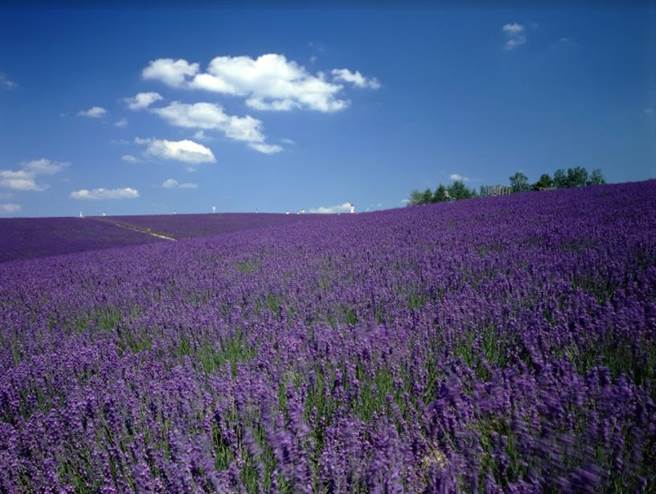 北海道快40个景点你全去过吗？快记笔记！这5个地方超适合过年
