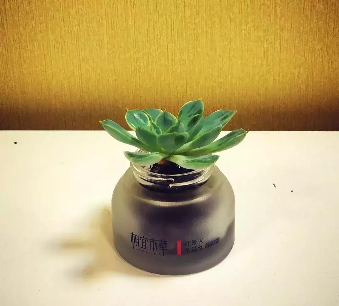 兰蔻回收化妆品空瓶,化妆品空瓶回收