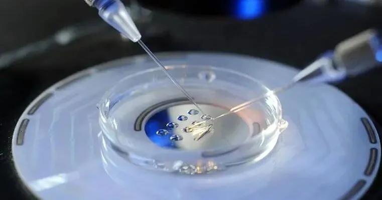 试管婴儿促排卵的最佳方案,试管婴儿促排卵有多少个方案