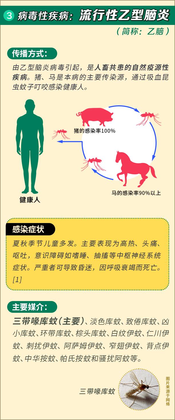 驱蚊剂治蚊子最好的方法,小蚊子的克星是什么