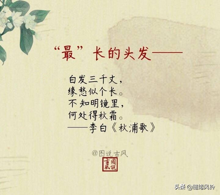 古诗词之“最”：莫道不销魂，帘卷西风，人比黄花瘦！