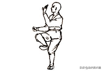 鹤形拳基础教学,少林五行拳鹤拳