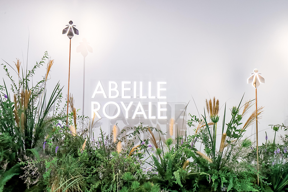 法国娇兰帝皇蜂姿黄金复原蜜官网,娇兰帝皇蜂姿复原蜜大盒子开箱