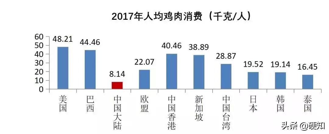 一只母鸡改变自己的命运,一只改变人生命运的猫