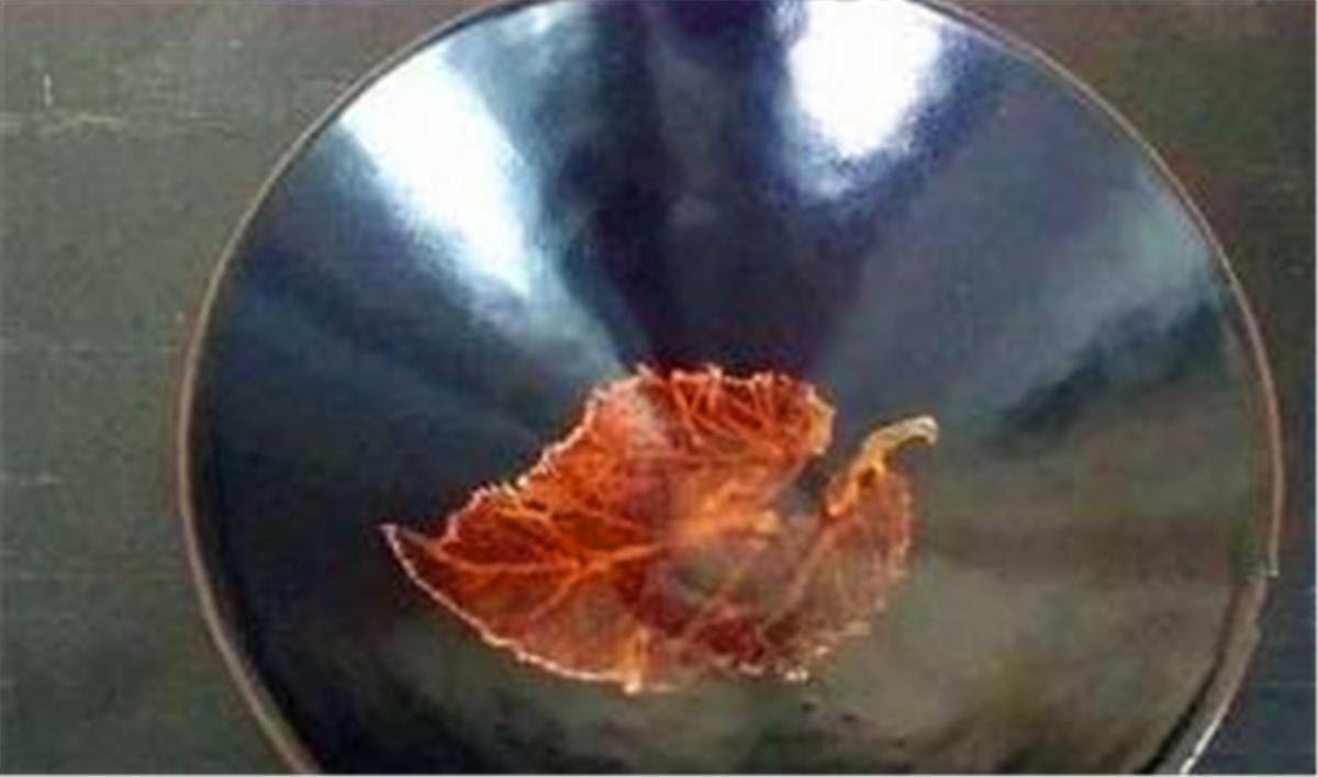 大爷带大碗鉴宝视频,大爷带济公鉴宝专家吓坏了