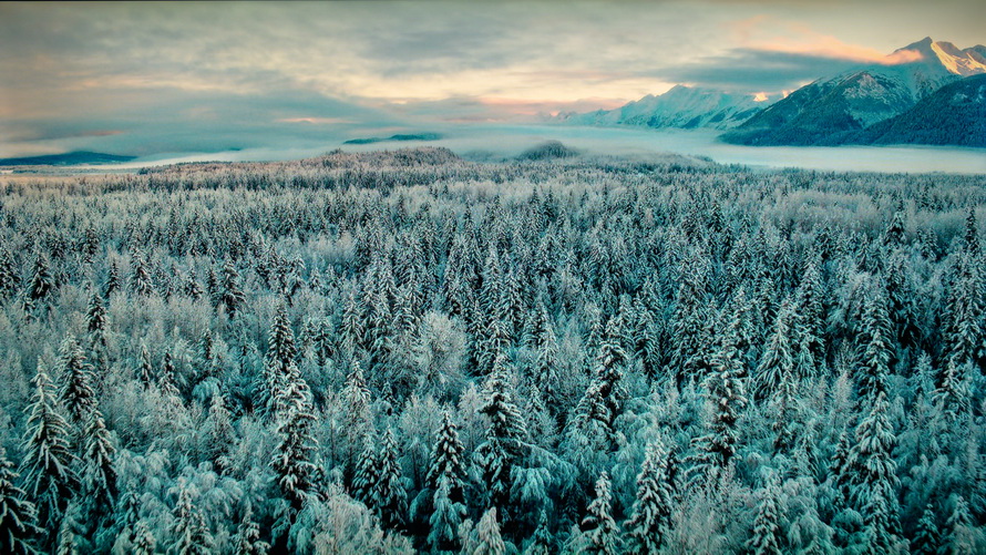 创维酷开p50遥控,创维酷开p50怎么外接音响