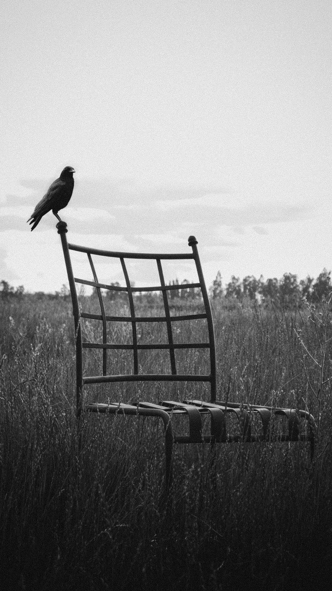 今日超好看质感壁纸（1080x1920）,1125x2436两种分辨率