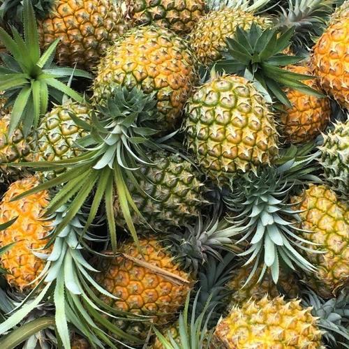 菠萝为什么要叫做凤梨,菠萝与凤梨有什么区别