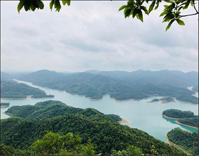 广东最大的烂尾楼,广东最霸气的烂尾楼