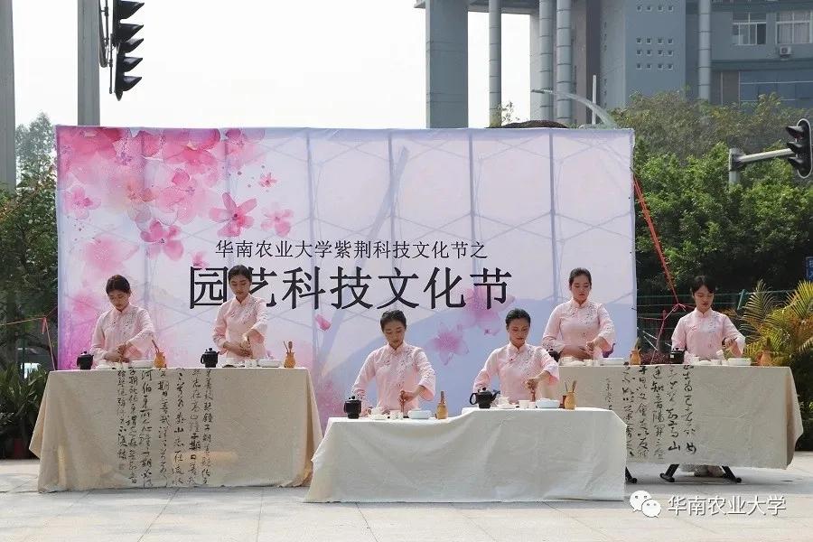 报考华南农业大学,华农报录比