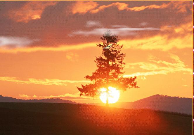 清晨的一缕阳光诗歌,清晨的阳光原唱