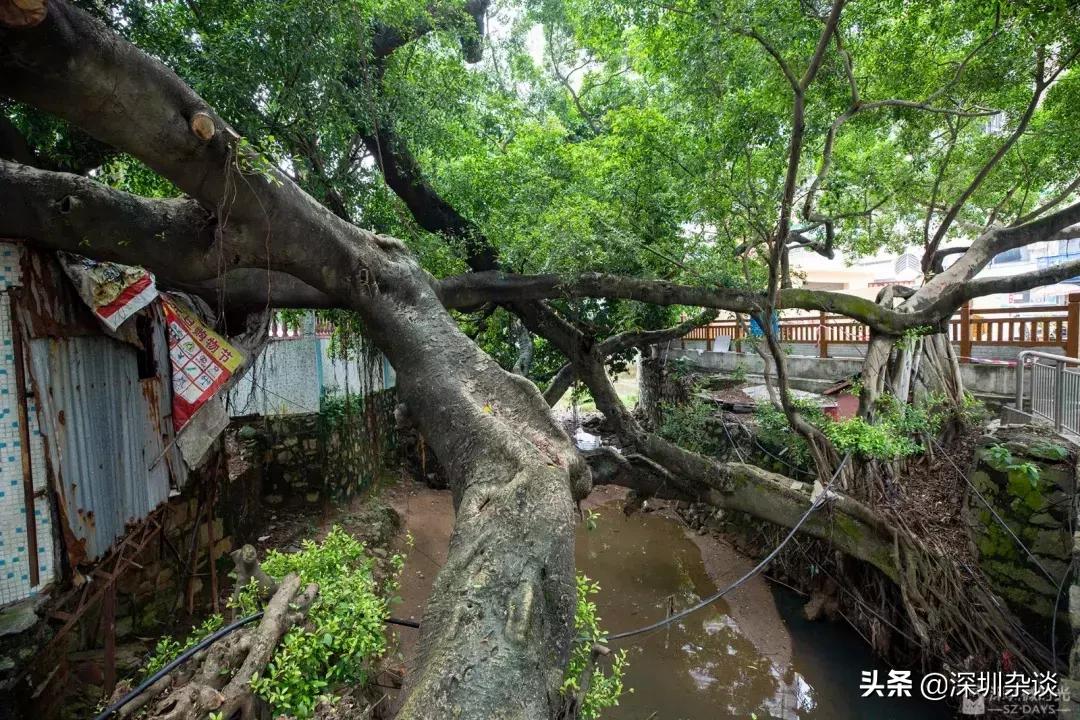 客家十大豪宅,岭南客家豪宅