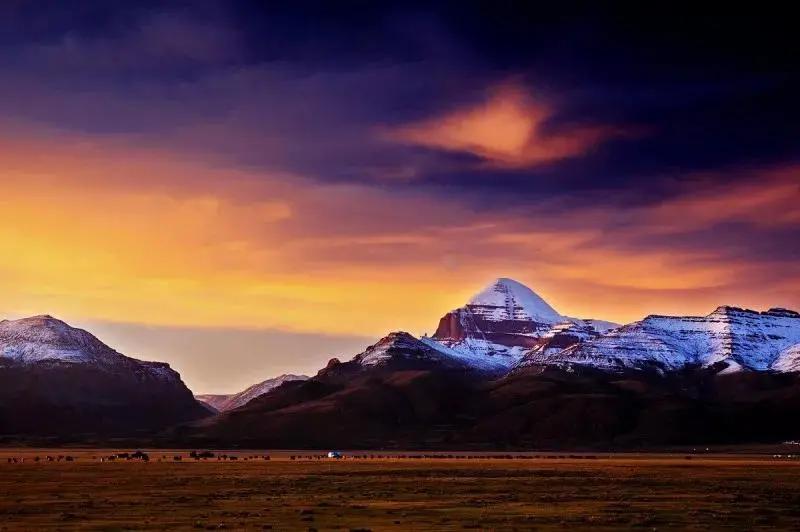 什么是*藏西**,令人如此神往……