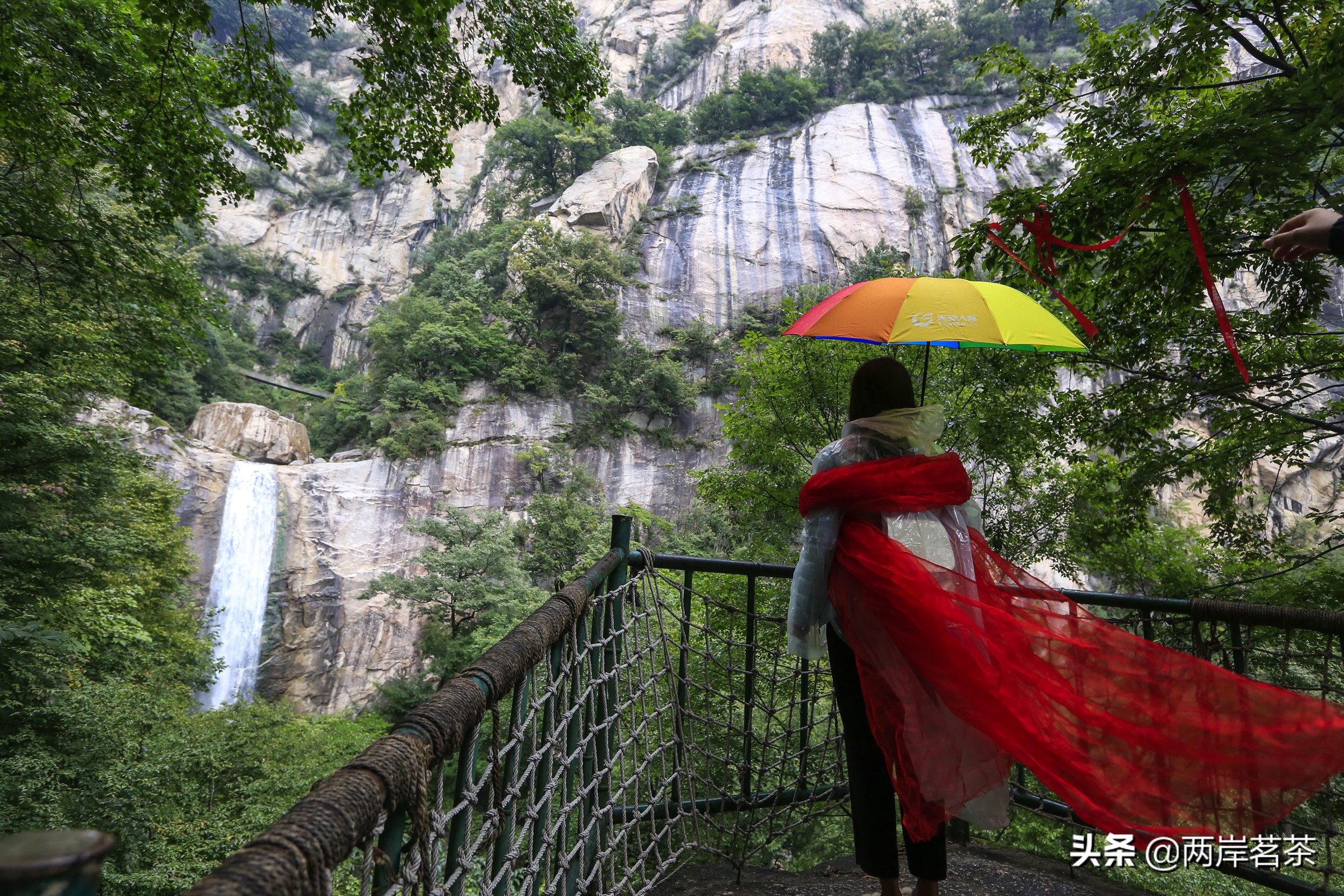 再看白云山，看山不是山，它是一本百读不厌的百科全书