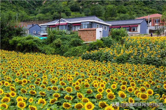 隆化七家农家院温泉哪家好,隆化温泉村附近的旅游景区推荐