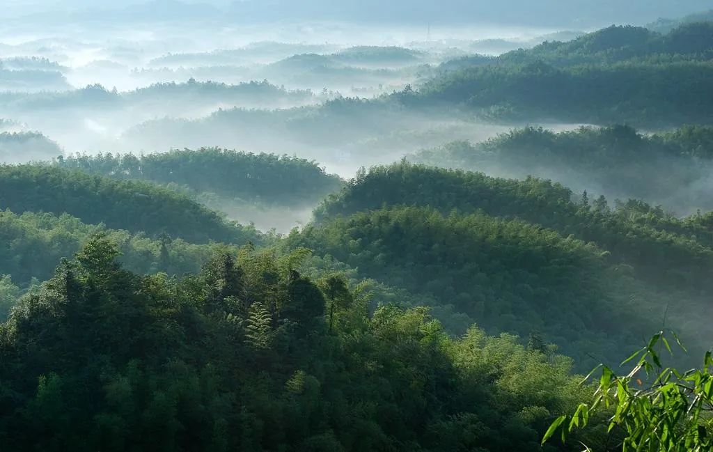 热҈热҈热҈热҈热҈!余杭超“清凉”景点集合