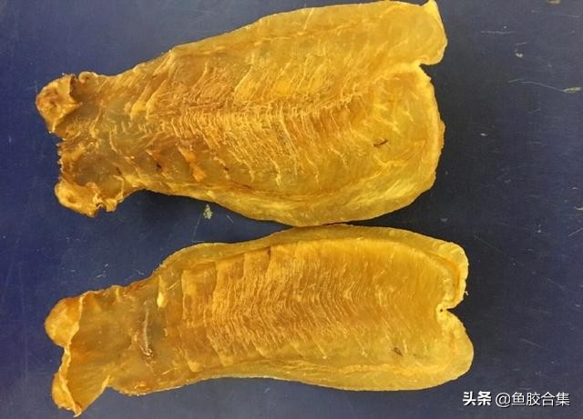 鱼胶品种介绍赤嘴鱼胶价格,鱼胶赤嘴图片