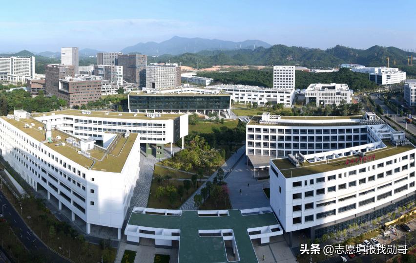 深圳大学专业性比较强,最好的大专深圳大学