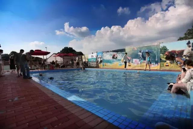 什么地方适合带猫狗玩耍,北京铲屎官可以带狗玩的地方