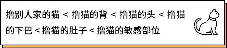 城市里养猫的人非富即贵,有多少人养猫家里有钱了
