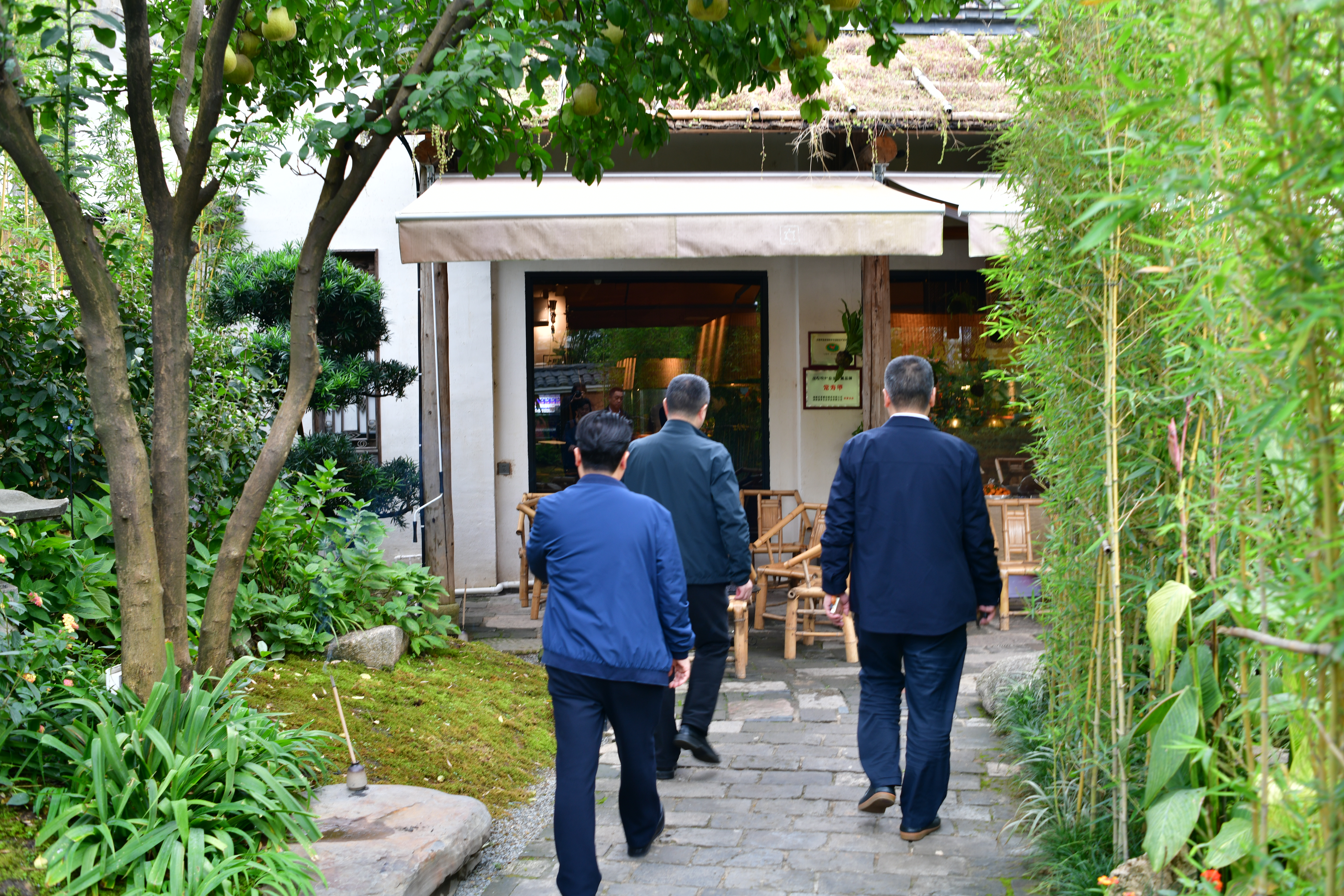 湘菜之甲鱼馆,特色湘菜甲鱼馆