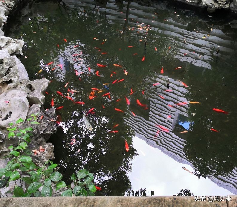 苏州丝绸博物馆,苏州丝绸博物馆纺织机