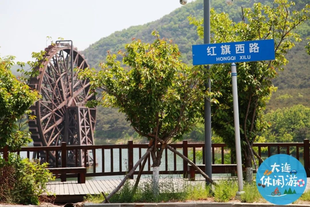 大连附近哪里有花海,大连一片花海