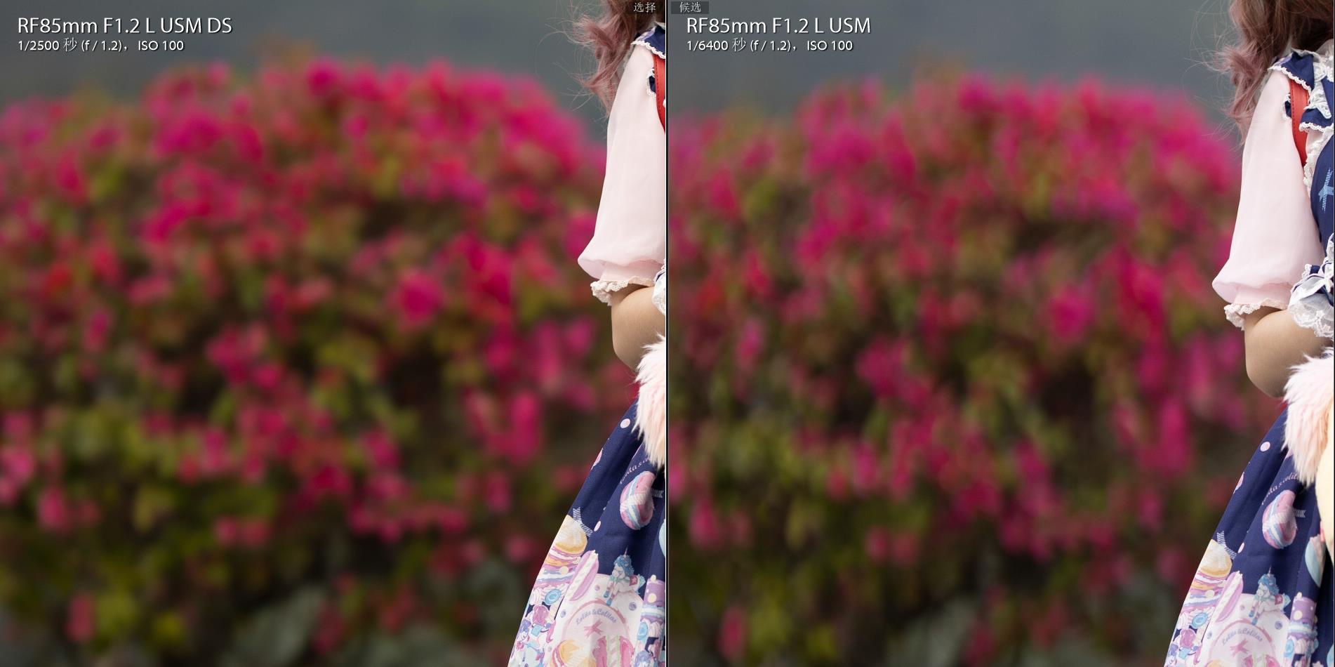 佳能大光圈人像rf镜头,佳能微距镜头rf100mm