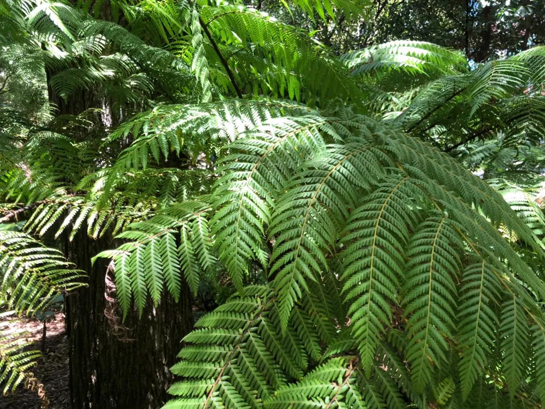 怀孕葡萄胎怎么知道是恶性的,警惕孕期杀手之葡萄胎你得这样做