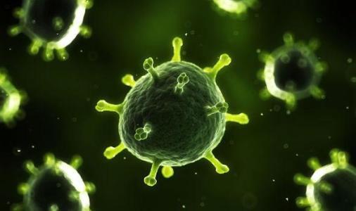 毒蛇毒液可抑制新冠病毒,青竹蛇儿口黄蜂尾上针