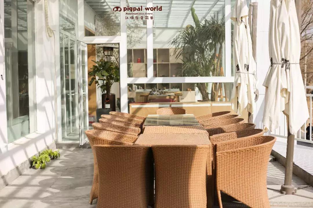 面包和梦想你选哪个,面包和梦想哪个重要